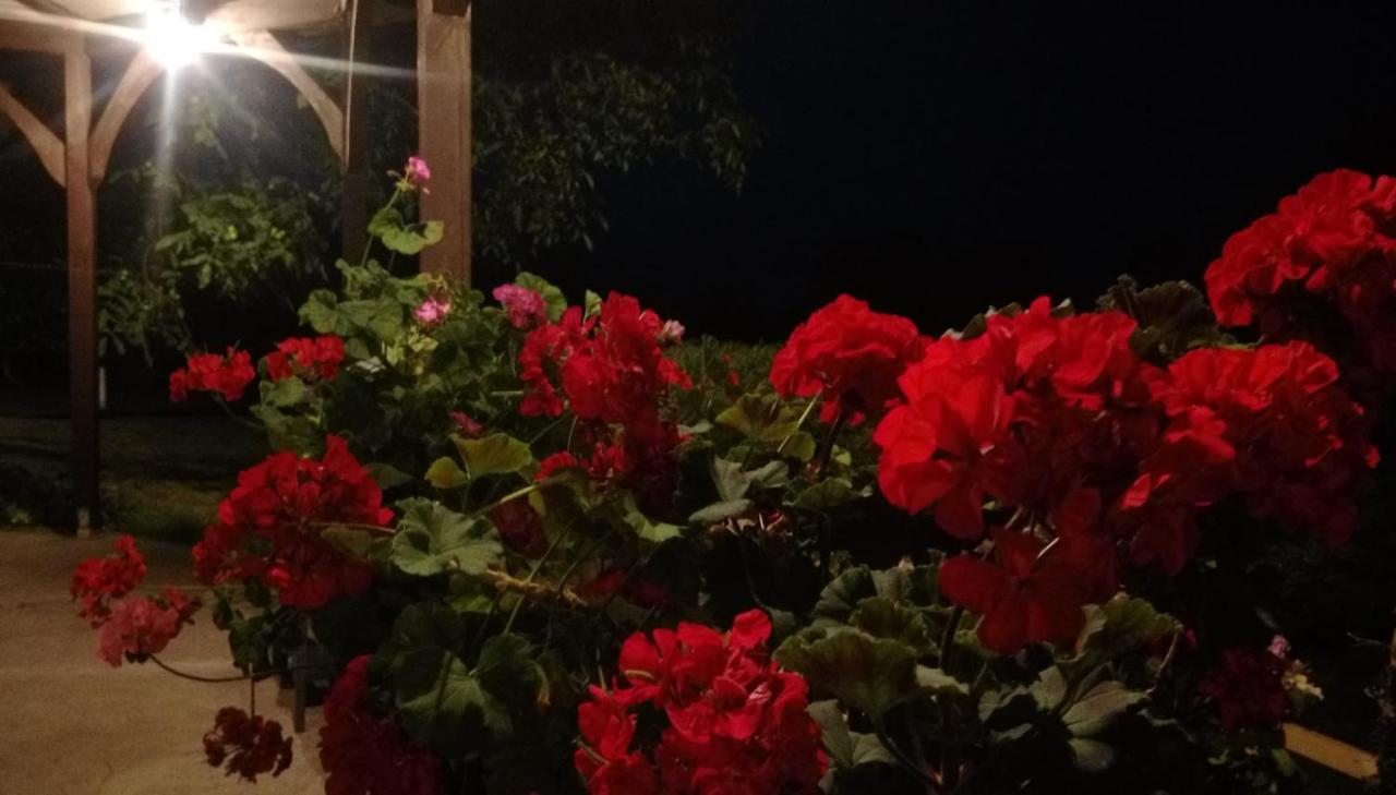 Pokoje Goscinne Gazda Polanica-Zdrój Exteriér fotografie